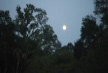 Moonlight Kayak Tour